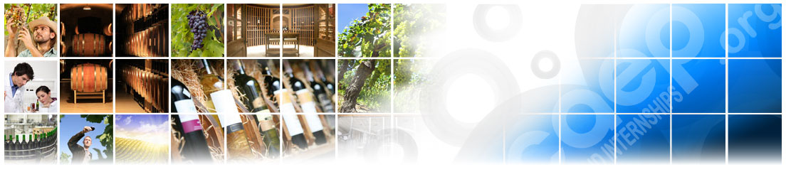 Enology Training Programs